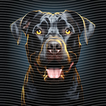 20oz integrate-EJ-9350